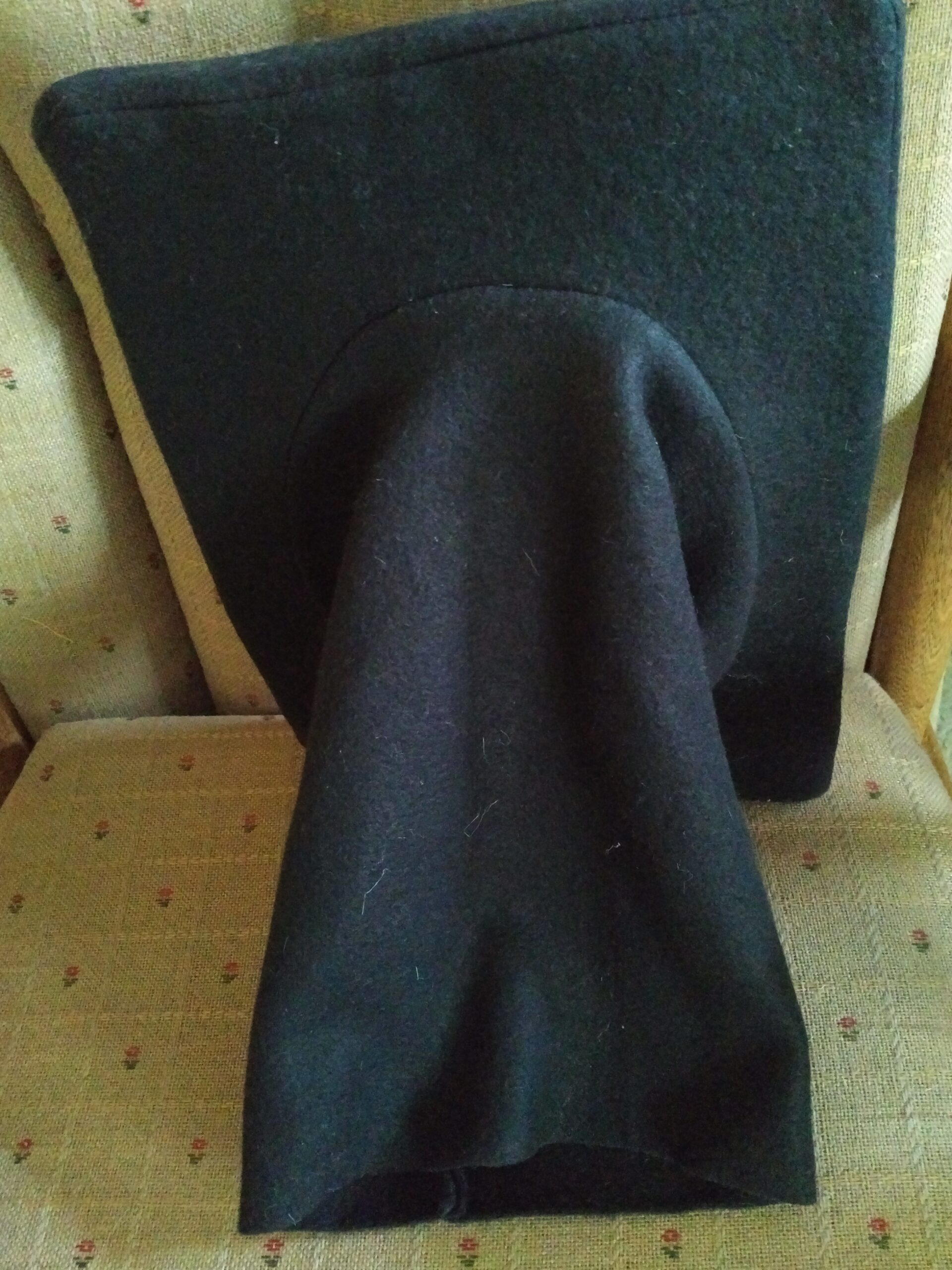 I Pad/Giant Cell Phone Puppet - Image 2