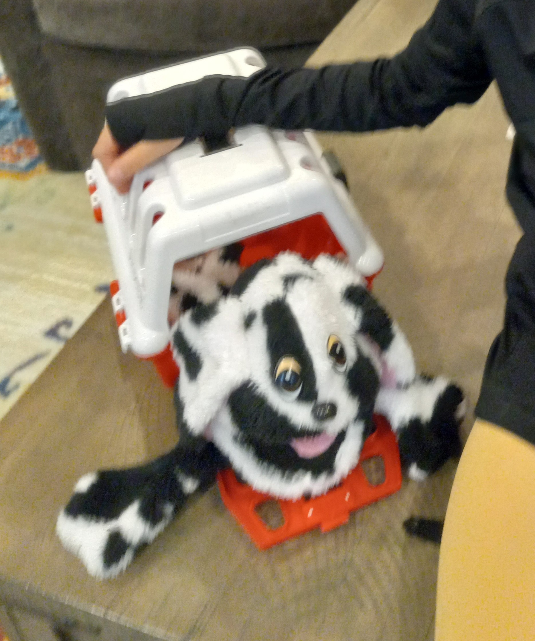 Wagging-Tail Dog Spotted for Kids - Image 3