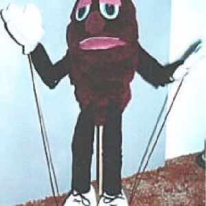 Praisin Raisin Puppet, Raisin the Word scripts & Praisin Raisin VBS Program